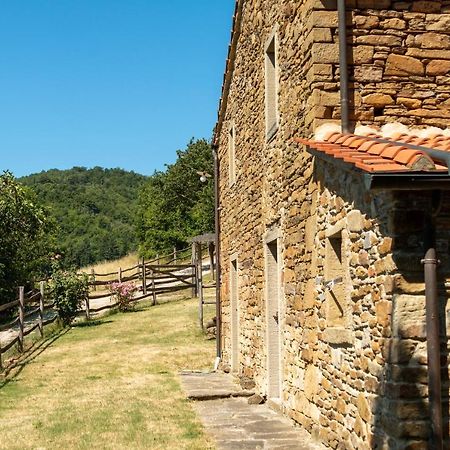 Agriturismo Con Piscina In Toscana, Tribbiano أريتسو المظهر الخارجي الصورة
