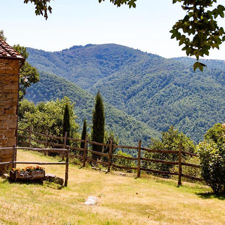 Agriturismo Con Piscina In Toscana, Tribbiano أريتسو المظهر الخارجي الصورة