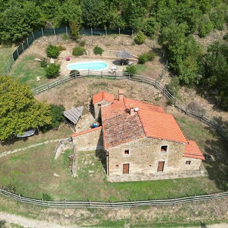 Agriturismo Con Piscina In Toscana, Tribbiano أريتسو المظهر الخارجي الصورة