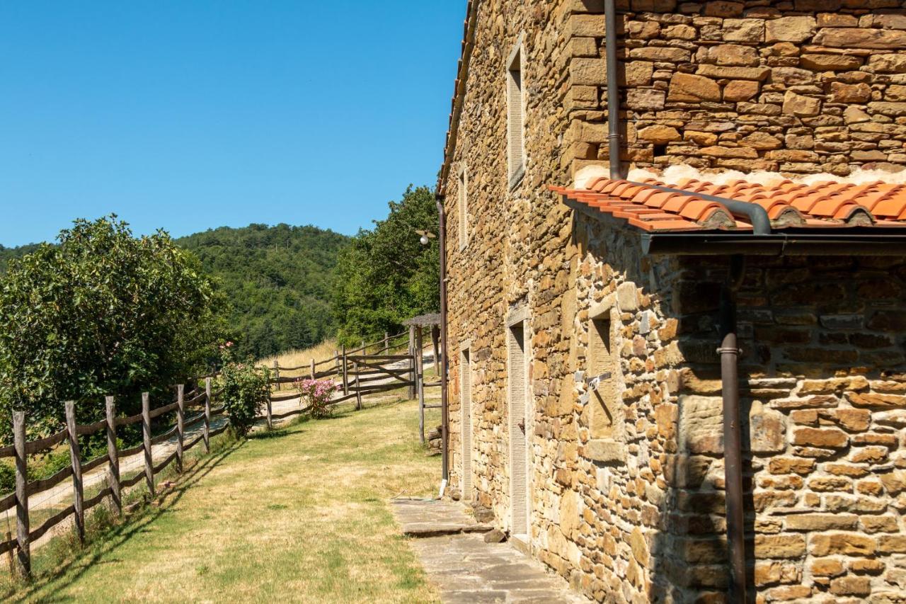 Agriturismo Con Piscina In Toscana, Tribbiano أريتسو المظهر الخارجي الصورة