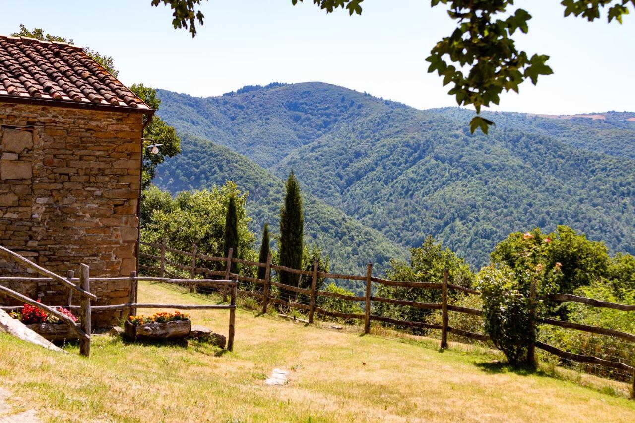 Agriturismo Con Piscina In Toscana, Tribbiano أريتسو المظهر الخارجي الصورة