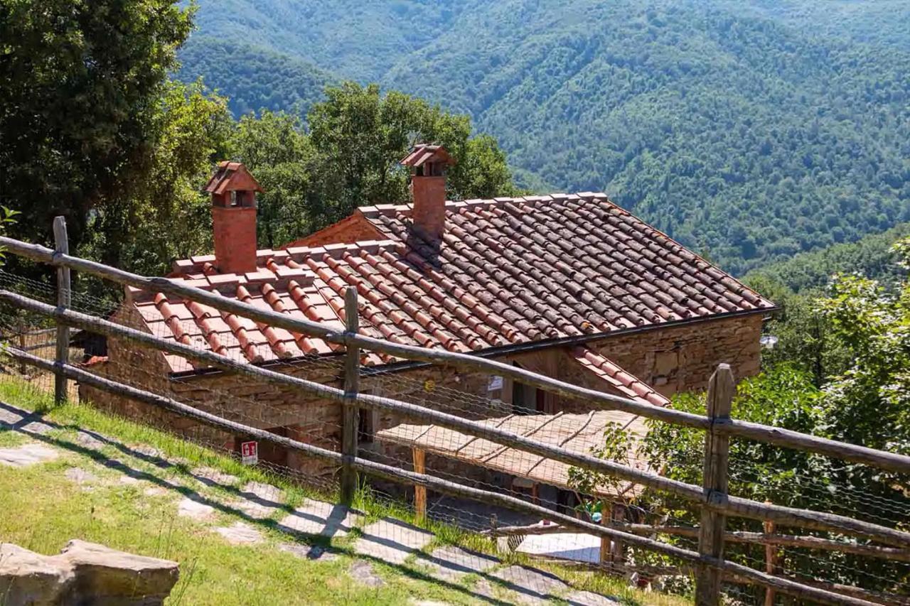 Agriturismo Con Piscina In Toscana, Tribbiano أريتسو المظهر الخارجي الصورة