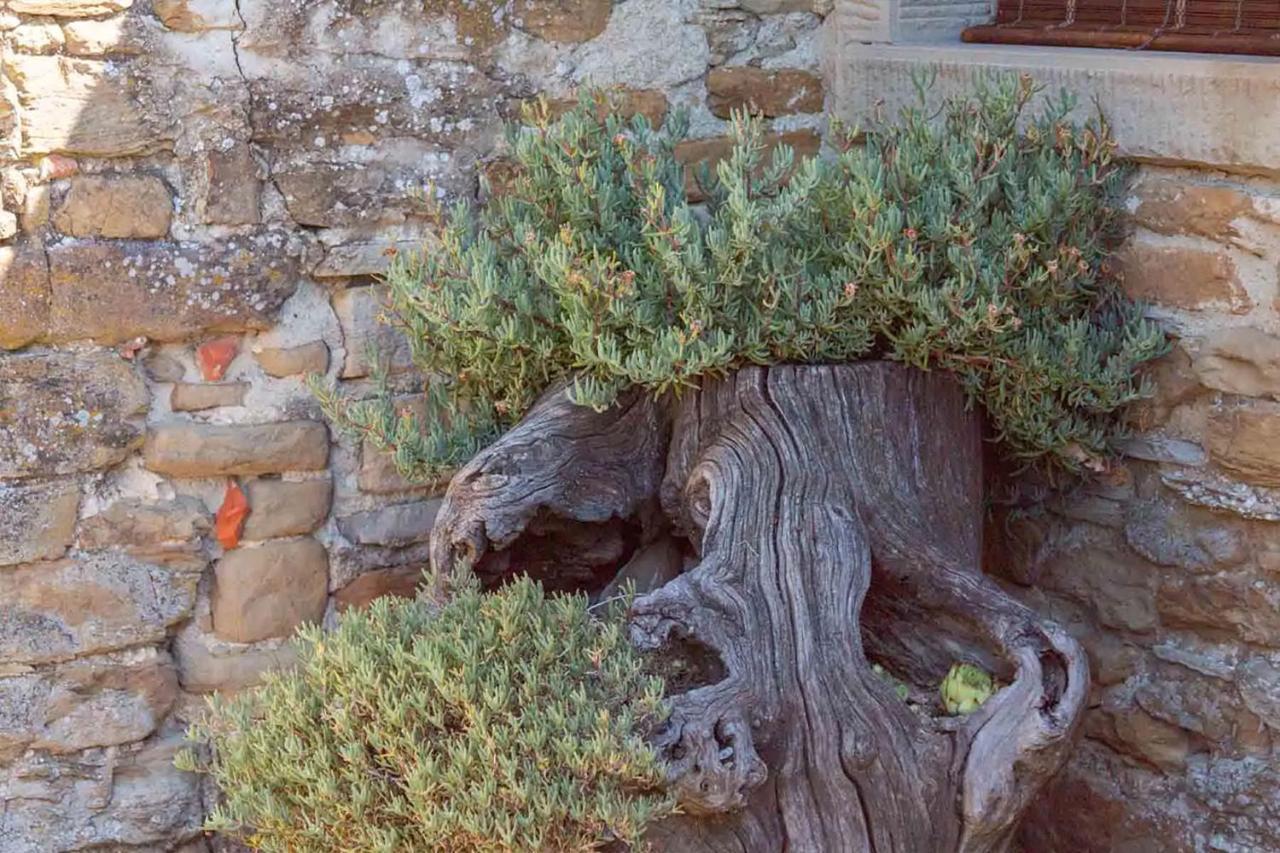 Agriturismo Con Piscina In Toscana, Tribbiano أريتسو المظهر الخارجي الصورة