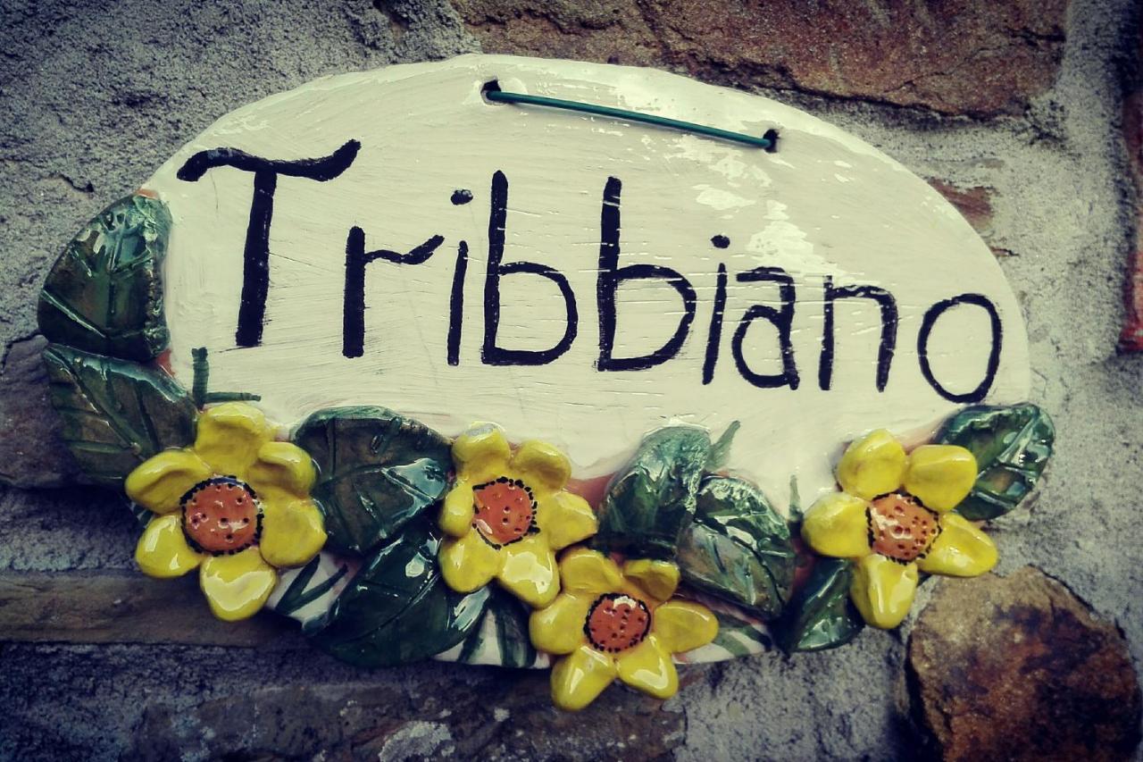 Agriturismo Con Piscina In Toscana, Tribbiano أريتسو المظهر الخارجي الصورة